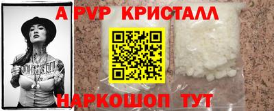 стаф Кунгур