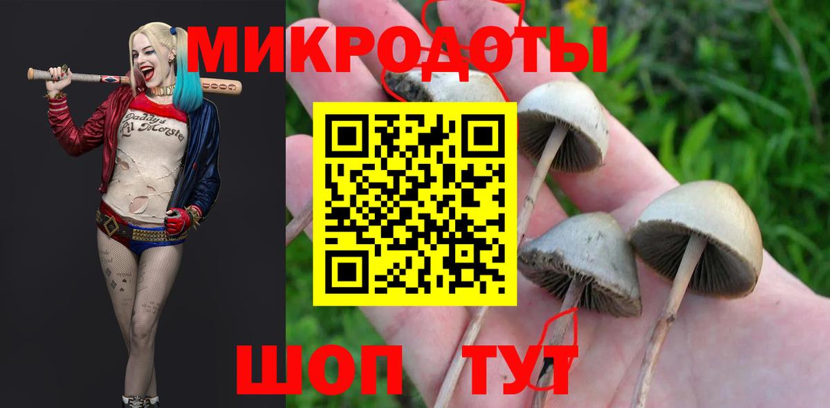Тара  Псилоцибиновые грибы GOLDEN TEACHER  Вход с VPN  Псилоцибиновые грибы MAGIC MUSHROOMS 